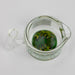 preemo - Glass Dabber and Dish Set [P052] | Jupiter Grass