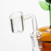 6" Rose Rig with diffuser [XY-J01] | Jupiter Grass