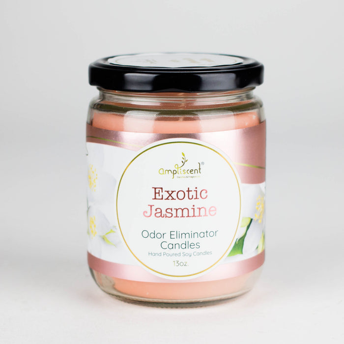 Ampliscent | Candles Odor Eliminator – 13oz | Jupiter Grass