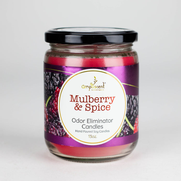 Ampliscent | Candles Odor Eliminator – 13oz | Jupiter Grass
