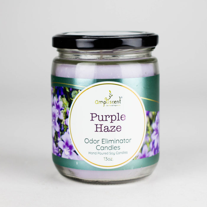 Ampliscent | Candles Odor Eliminator – 13oz | Jupiter Grass
