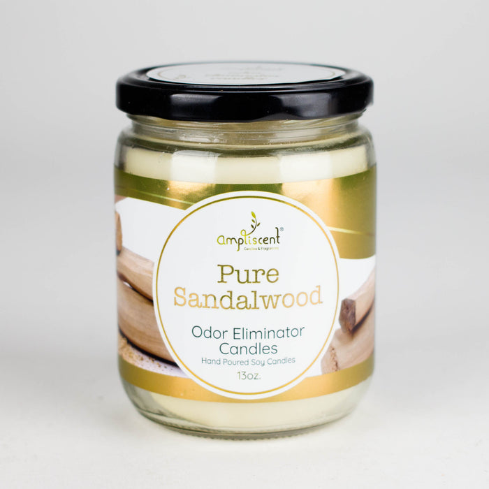 Ampliscent | Candles Odor Eliminator – 13oz | Jupiter Grass