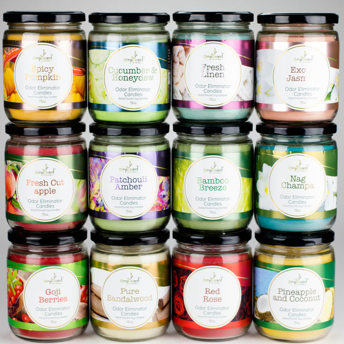 Ampliscent | Candles Odor Eliminator – 13oz | Jupiter Grass