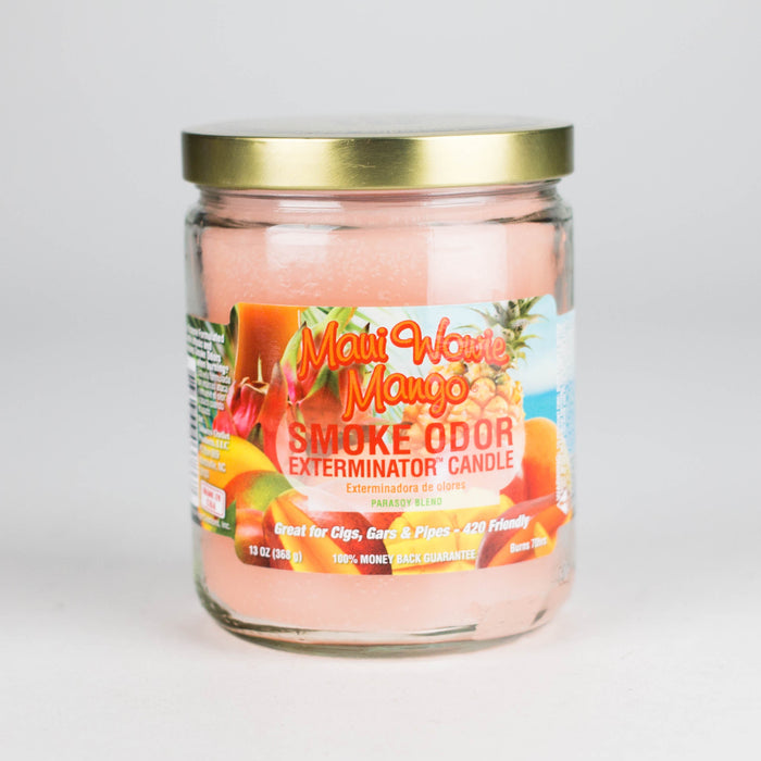 Smoke Odor | Candles Odor Eliminator 13oz | Jupiter Grass