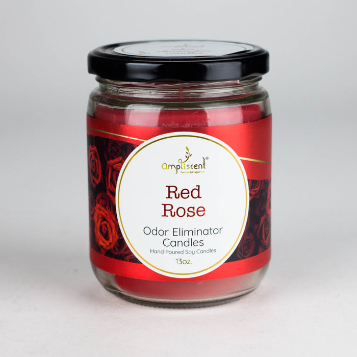 Ampliscent | Candles Odor Eliminator – 13oz | Jupiter Grass