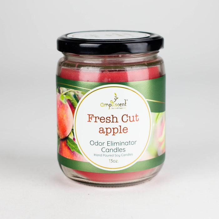 Ampliscent | Candles Odor Eliminator – 13oz | Jupiter Grass