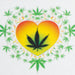 Haze | 9″ Heart Leaf Double Bubble Base Glass Bong with Color Lip – Amber (Mini-U) | Jupiter Grass