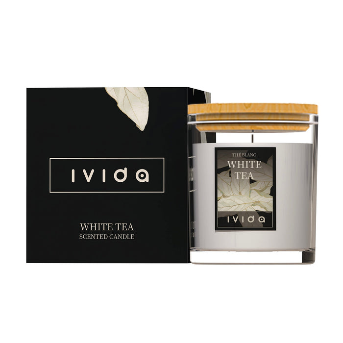Ivida | 14oz Premium Candle Odor Eliminator | Jupiter Grass