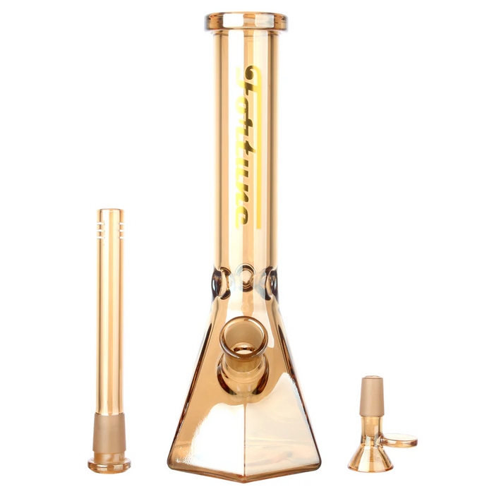 Fortune | Electroplated 10" 5mm Hexagon Glass Beaker Bong - 4 Assorted Colours | Jupiter Grass