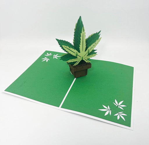Intricate Greetings | Cannabis Leaf 3D pop-up Cards-Birthday | Jupiter Grass