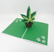 Intricate Greetings | Cannabis Leaf 3D pop-up Cards-Birthday | Jupiter Grass