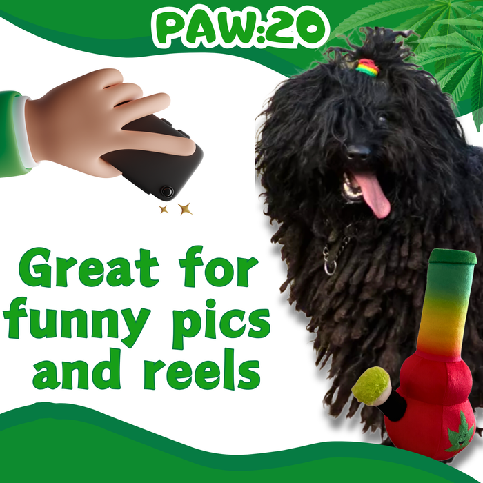 Bo da Bong - Parody Plush Rasta Color Squeaker Dog Toy - 9" | Jupiter Grass