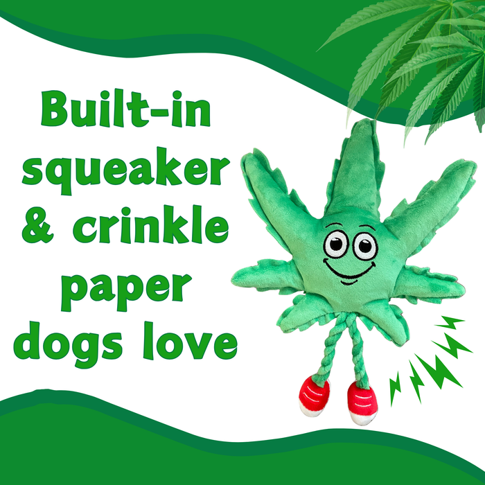MJ the Marijuana Leaf - Squeaky Dog Toy - Shelf-Sitter Plushie - 13" | Jupiter Grass