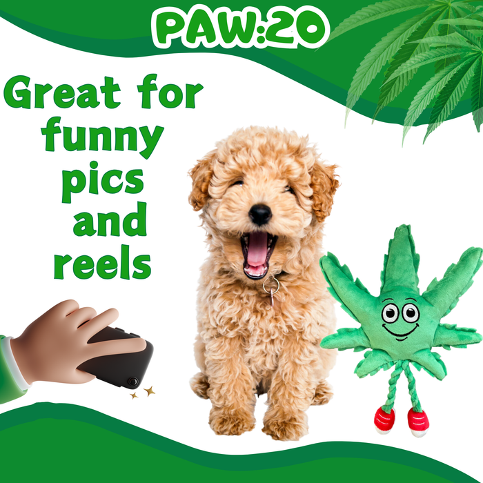 MJ the Marijuana Leaf - Squeaky Dog Toy - Shelf-Sitter Plushie - 13" | Jupiter Grass