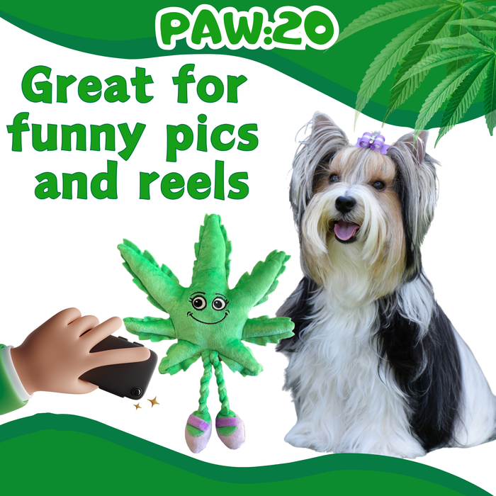 Mary Jane the Marijuana Leaf - Squeaky Dog Toy & Shelf-Sitter Plushie - 13" | Jupiter Grass