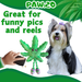 Mary Jane the Marijuana Leaf - Squeaky Dog Toy & Shelf-Sitter Plushie - 13" | Jupiter Grass