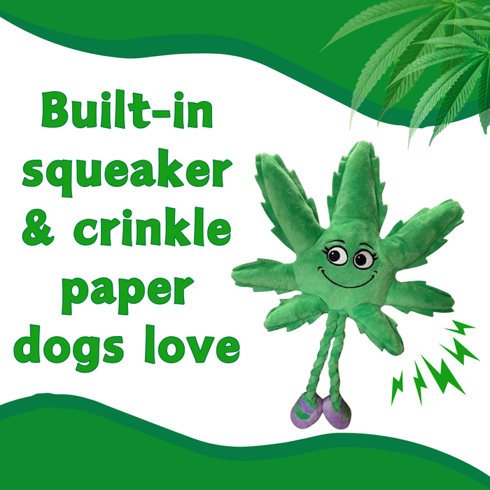 Mary Jane the Marijuana Leaf - Squeaky Dog Toy & Shelf-Sitter Plushie - 13" | Jupiter Grass