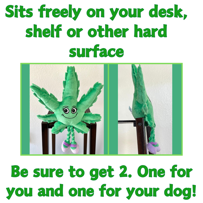 Mary Jane the Marijuana Leaf - Squeaky Dog Toy & Shelf-Sitter Plushie - 13" | Jupiter Grass