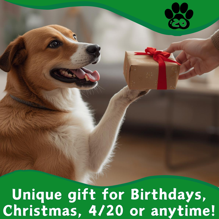 Billie Bong - Parody Plush Squeaky Dog Toy - 10" | Jupiter Grass