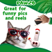 Lil' Billie Bong - Parody Plush Catnip Cat Toy - 5" | Jupiter Grass