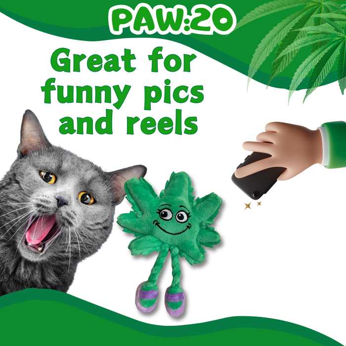 Lil' Mary Jane the Marijuana Leaf - Plush Catnip Cat Toy - 6" | Jupiter Grass