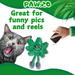 Lil' Mary Jane the Marijuana Leaf - Plush Catnip Cat Toy - 6" | Jupiter Grass