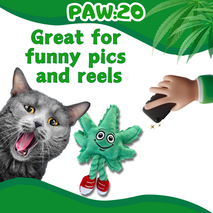 Lil' MJ the Marijuana Leaf - Plush Catnip Cat Toy - 6" | Jupiter Grass