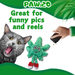 Lil' MJ the Marijuana Leaf - Plush Catnip Cat Toy - 6" | Jupiter Grass
