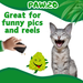 Bud Jr. the Weed Nug - Plush Catnip Cat Toy - 3" | Jupiter Grass