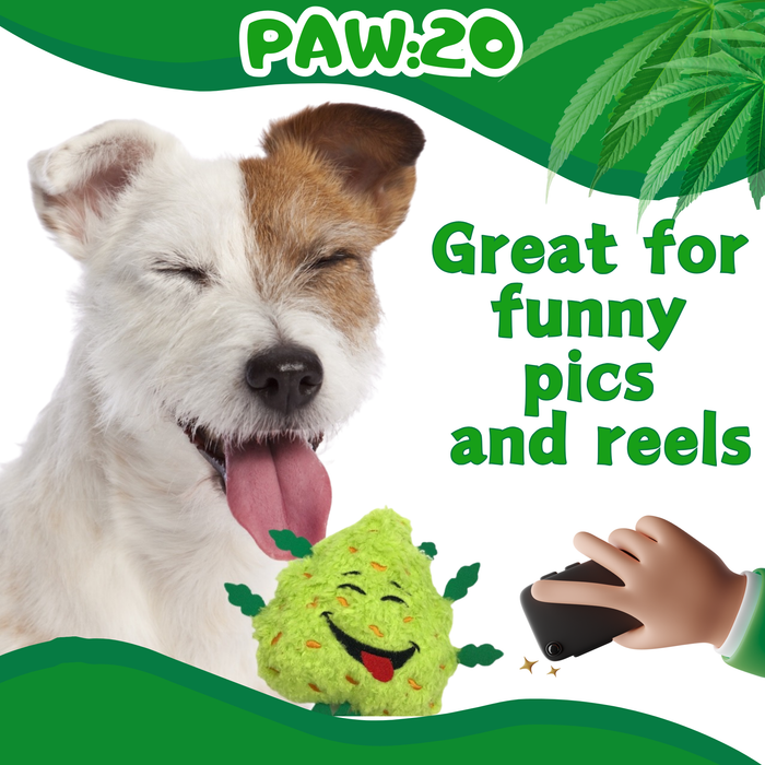 Bud the Weed Nug - Parody Plush Squeaky Dog Toy - 6" | Jupiter Grass