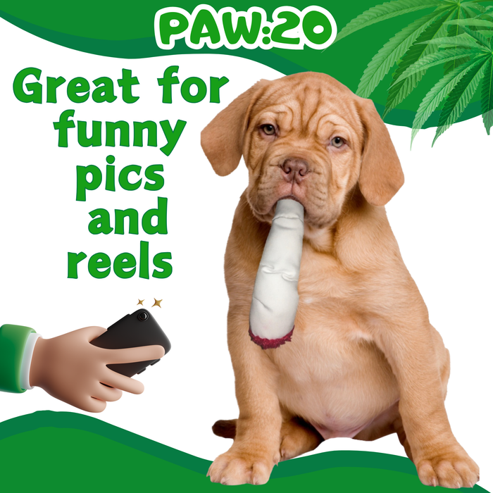 Jay the Joint - Parody Squeaky Dog Toy - 7" | Jupiter Grass