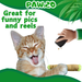 Lil' B the Blunt - Stuffed Parody Catnip Cat Toy - 5" | Jupiter Grass