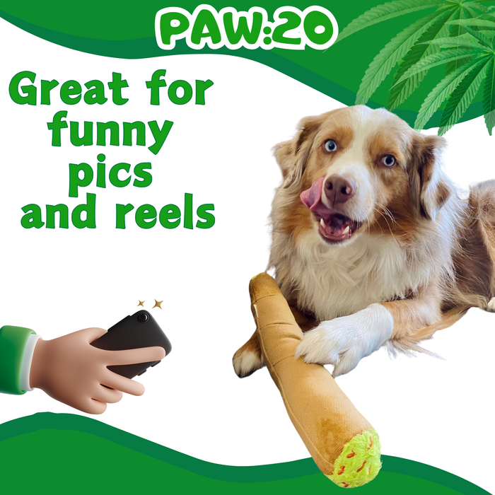 B the Blunt - Squeaky Parody Dog Toy - 10" | Jupiter Grass