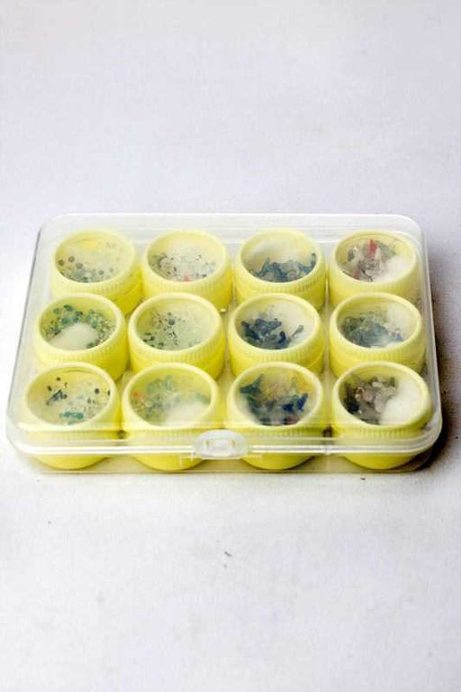 High Quality Daisy and Jack style Glass Screen | Jupiter Grass