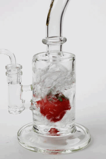 9" Genie Fruit dab Rig | Jupiter Grass