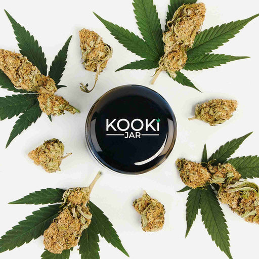 The Blackout | Small UV Glass Stash Jar | Jupiter Grass