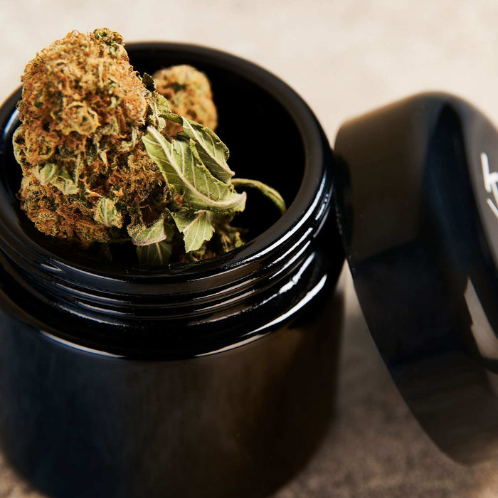 The Blackout | Small UV Glass Stash Jar | Jupiter Grass