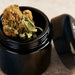 The Blackout | Small UV Glass Stash Jar | Jupiter Grass