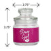 ASHTRAY AND STASH JAR SET - PINK STONER GIRL DESIGN | Jupiter Grass