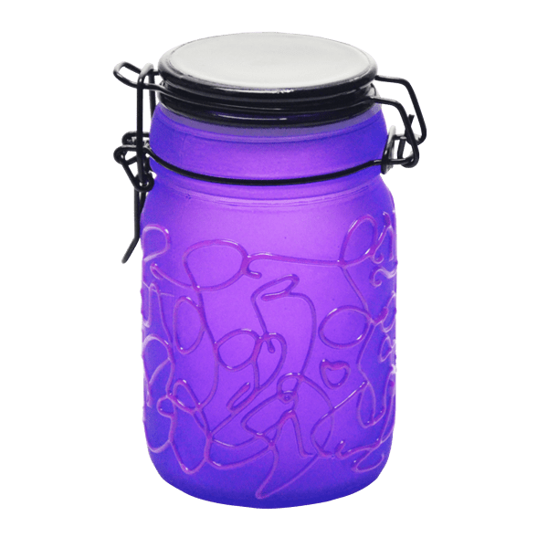 Spider Web Design Glass Storage Jar – Purple-Multiple Sizes Available [SMKZ-139] | Jupiter Grass