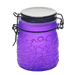 Spider Web Design Glass Storage Jar – Purple-Multiple Sizes Available [SMKZ-139] | Jupiter Grass