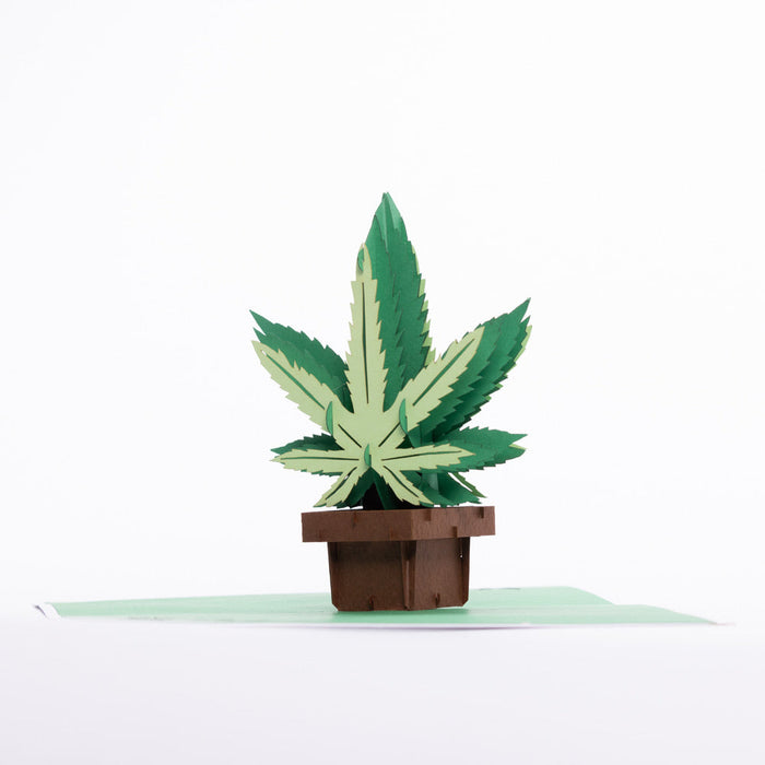 Intricate Greetings | Cannabis Leaf 3D pop-up Cards-Birthday | Jupiter Grass