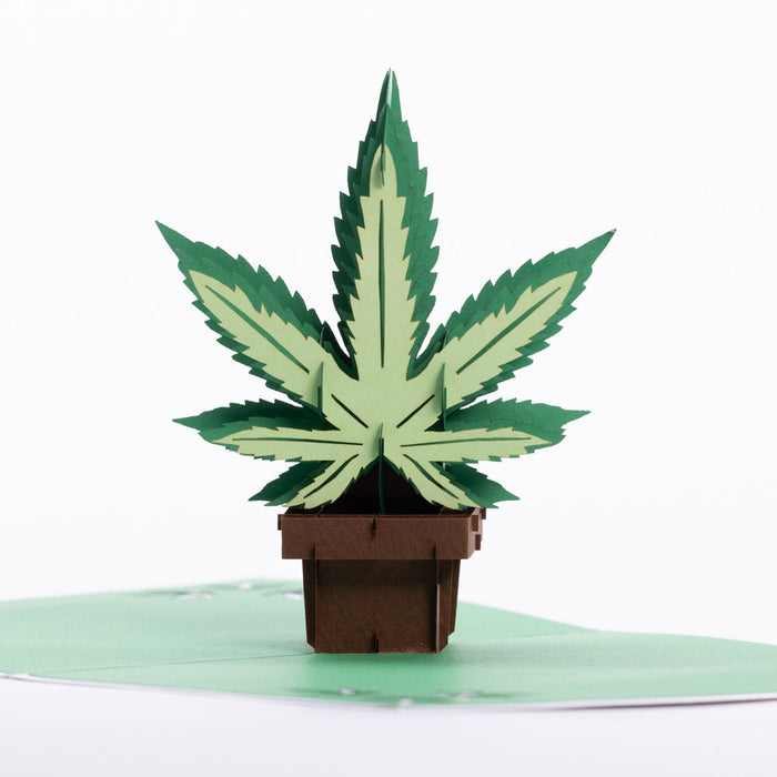 Intricate Greetings | Cannabis Leaf 3D Pop-Up Holiday Card | Jupiter Grass