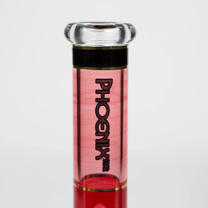 PHOENIX STAR 10" 24k Golden Line Glass Water Bong | Jupiter Grass