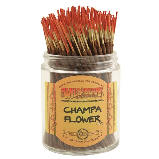 Wild Berry Shorties - Champa Flower | Jupiter Grass