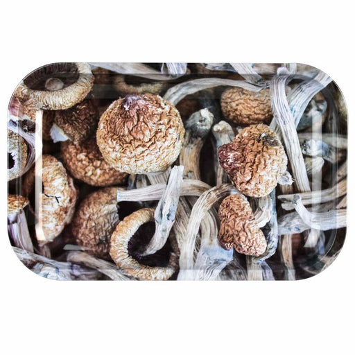 Pulsar-11-x-7-Metal-Rolling-Tray-Medium-Mushroom-Caps | Jupiter Grass